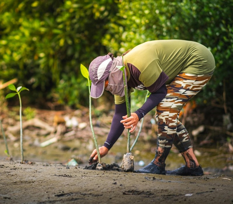 Planting trees in industrial zones