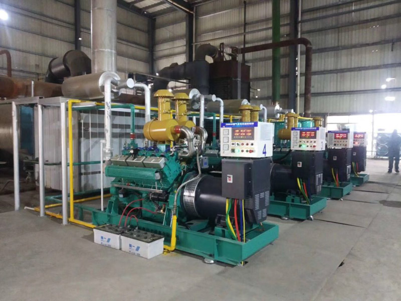 Biogas generator